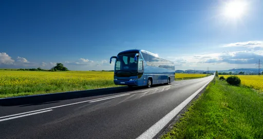 Ionibus